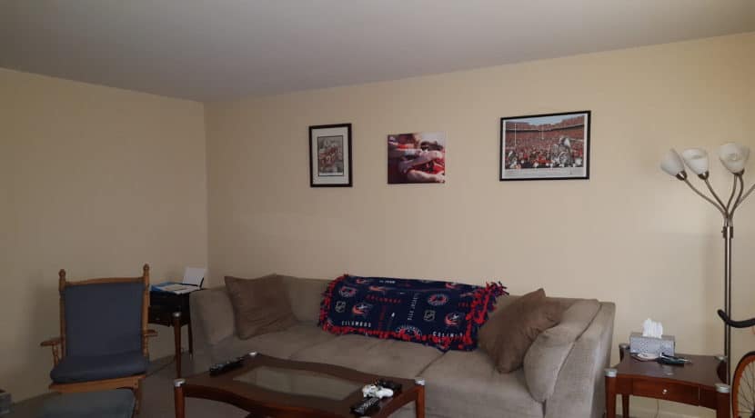 Living Room-102