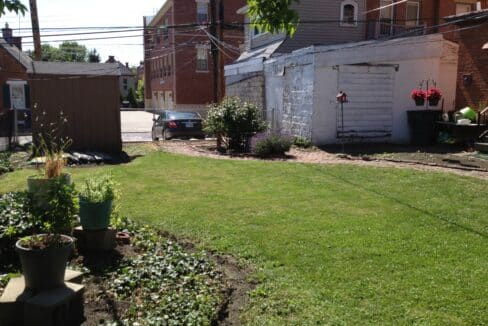 19backlawn